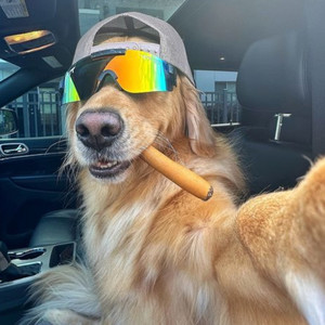 Eu Duvido Tu Aguentar Uma Dessas Vs Pula Pula Trepa Trepa (Explicit)