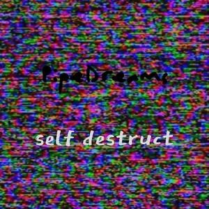 Self Destruct
