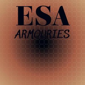 Esa Armouries