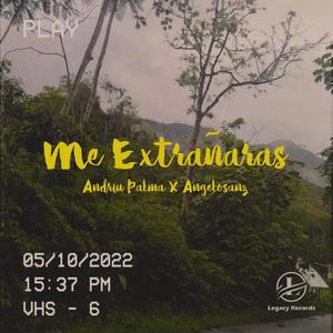 Me Extrañaras (feat. AngeloSanz)