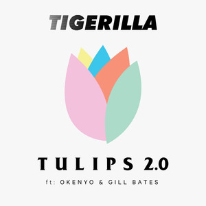 TULIPS 2.0 (Explicit)