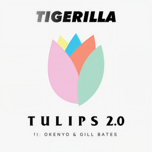 TULIPS 2.0 (Explicit)