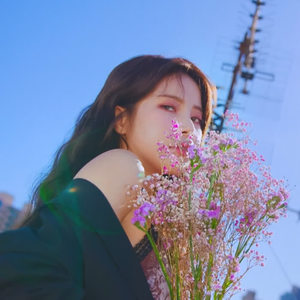 Wind Flower