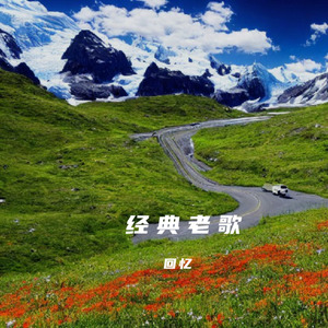 阅尽沧桑满身是伤