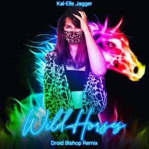 WILD HORSES (Droid Bishop Remix)