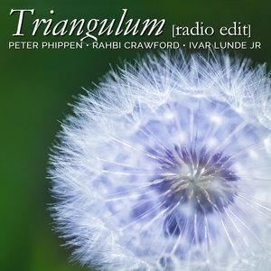 Triangulum (Radio Edit)