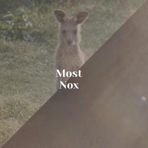 Most Nox