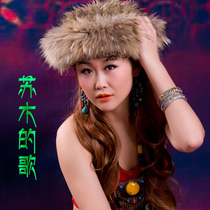 苏木的歌
