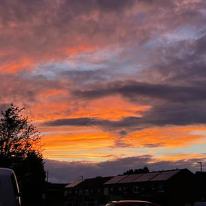 Little cuzzy destiny