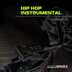 Hip Hop Instrumental Volume 28