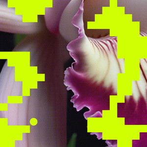 Erosie (Gregor Tresher Remix)