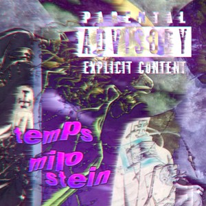 Temps(feat. stein) (Explicit)