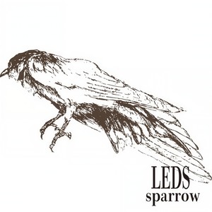 sparrow