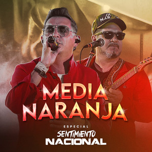 Si No Te Hubieras Ido