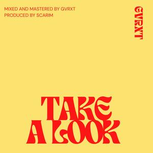 TAKE A LOOK (Alternative Mix|Explicit)