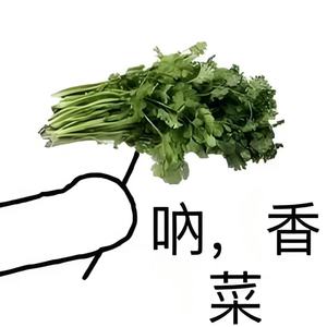 不吃香菜