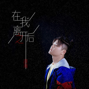 在我离开之后