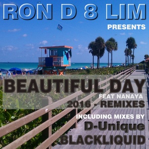 Beautiful Day (2016 Remixes)