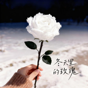 冬天里的玫瑰 (节奏氛围版)