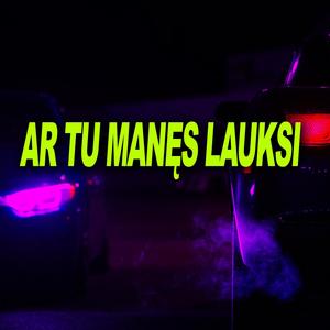 AR TU MANĘS LAUKSI (feat. Naujos Pupytės) [Remix]