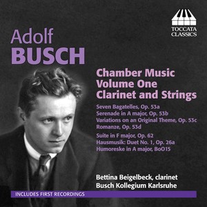 BUSCH, A.: Chamber Music, Vol. 1 (Beigelbeck, Busch Kollegium Karlsruhe)