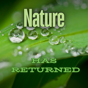 Nature Has Returned