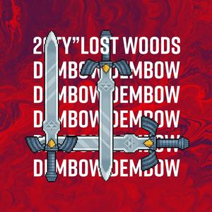 Lost Woods (Dembow Cover)