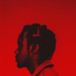 Don't Disturb (Explicit)