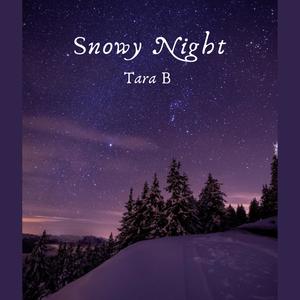 Snowy Night