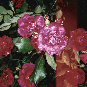 SILVER (Bonus Track)