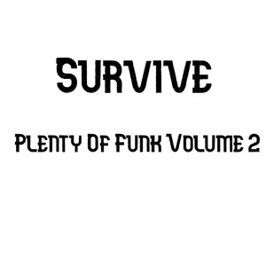 Plenty Of Funk, Vol. 2