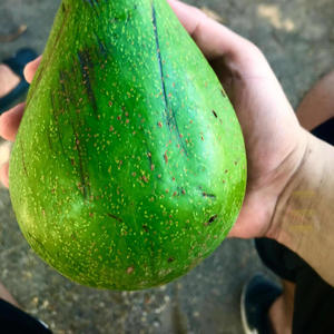 Siempre mides el queso