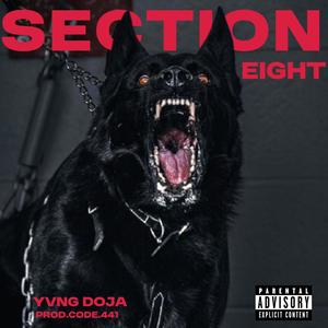 SECTION EIGHT (Explicit)