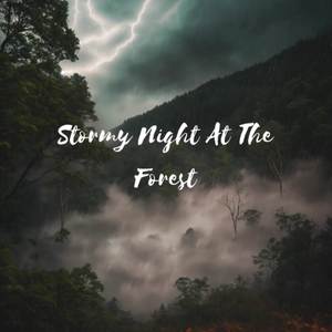 Stormy Night At The Forest