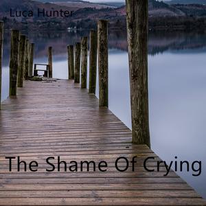 The Shame Of Crying (Explicit)