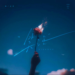 笑话 (我就是个傻瓜)