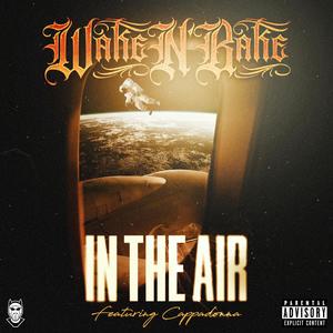 In The Air (feat. Cappadonna) (Explicit)