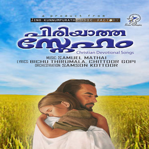 Neela Ravu Nilavinal
