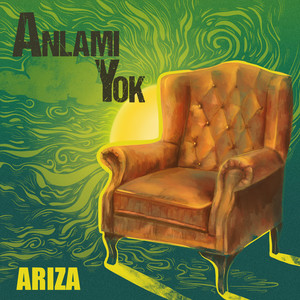Anlamı Yok