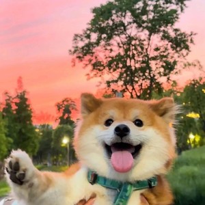 长相依