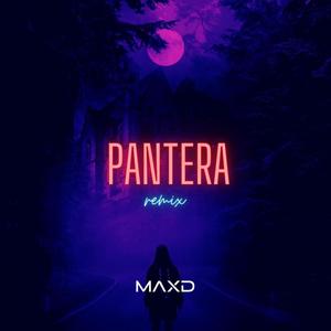 Pantera (Remix|Explicit)