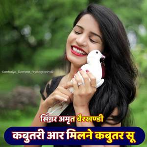 कबूतरी आर मिलने कबुतर सु