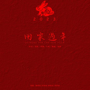 回家过年 (伴奏)