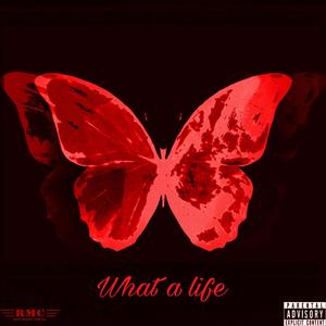 What a Life (Deluxe) [Explicit]