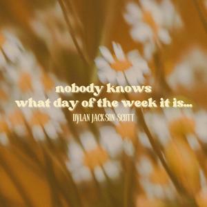 Nobody Knows What Day of the Week It is...