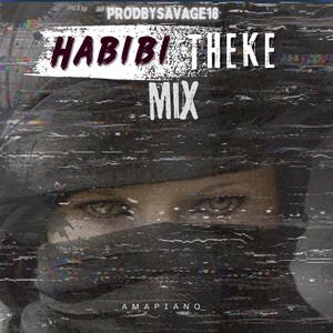 HABIBI (Theke Mix)