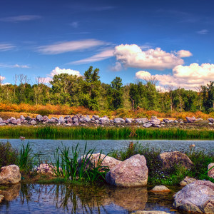 迷茫的爱 (慢四广场舞BGM)