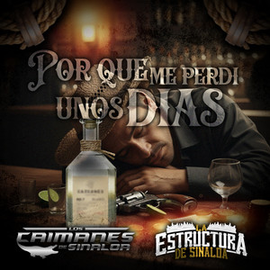 Porque Me Perdi Unos Dias (En Vivo)