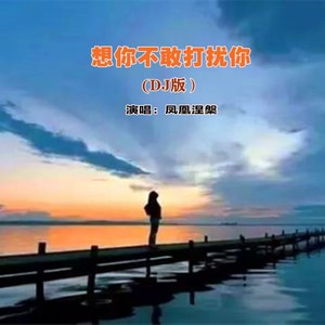 想你不敢打扰你（DJ版） - 凤凰涅槃