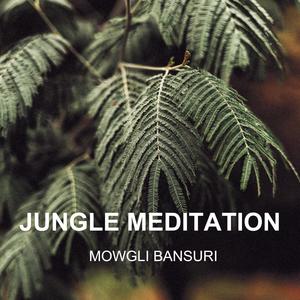 Jungle Meditation